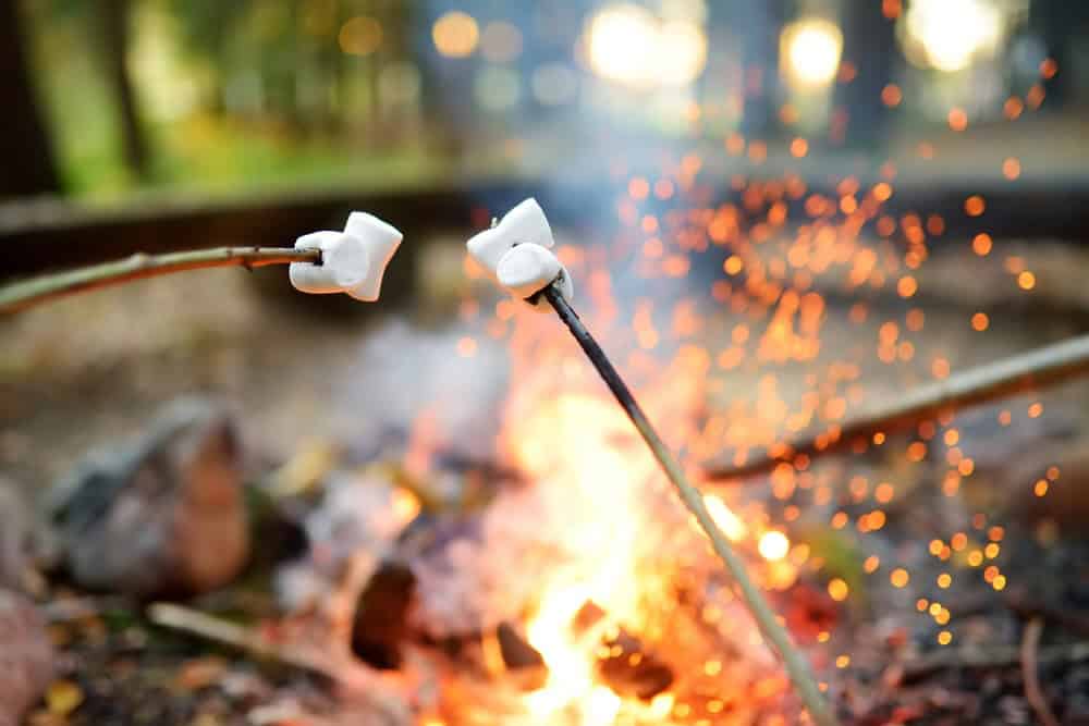 Roasting marshmallows on stick at bonfire. Having fun at camp fire. Camping in fall forest.
