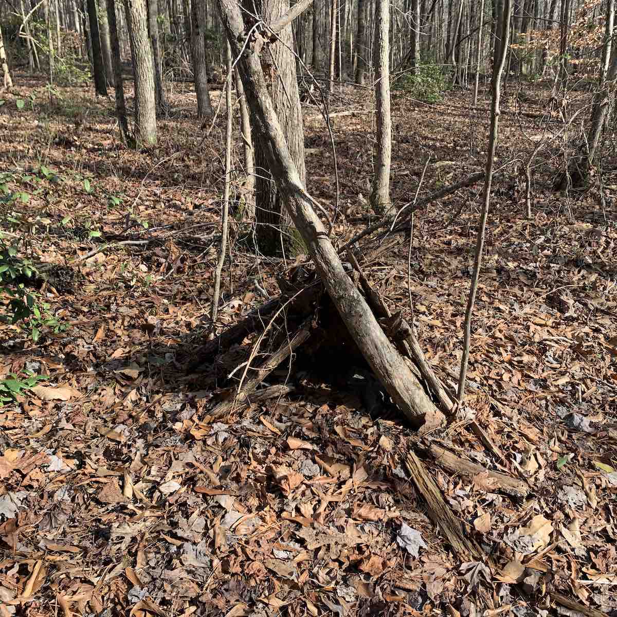 fairyhouse2latta Charlotte On The Cheap