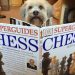 kids read to dogs at charlotte libraries