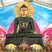 Minh Dang Quang Jade Buddha Charlotte
