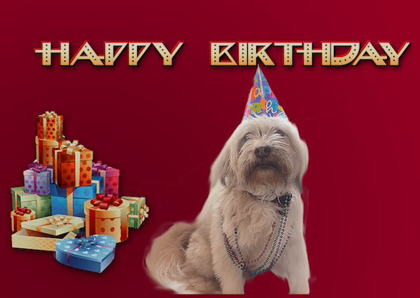 Happy-Birthday-Harlow