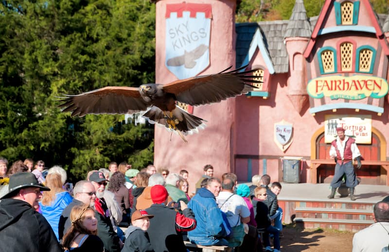 Win 4 tickets to Carolina Renaissance Festival (and learn about