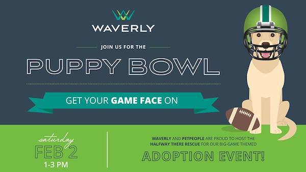 puppy bowl 2019 charlotte nc