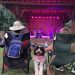 adorable dog at a concert