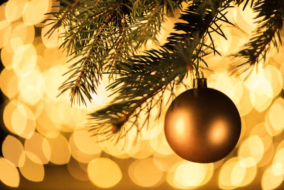 Concord Tree Lighting, Fireworks, and Christmas Parade 2023 Nov 17-18 -  Charlotte On The Cheap