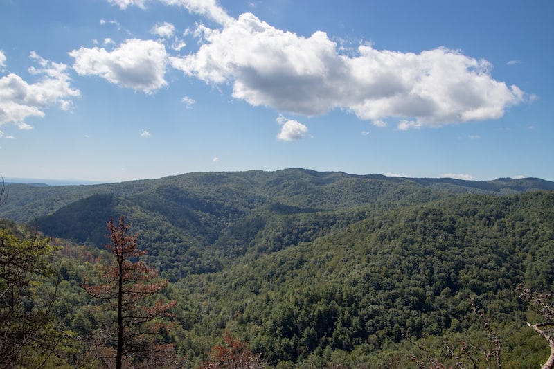 South Mountains State Park Chestnut Knob Vista