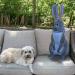 dog and Google 3D Easter Bunny