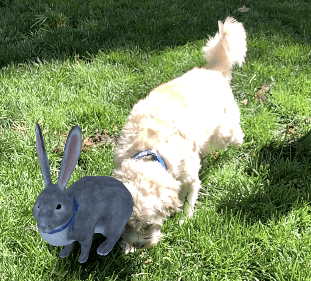 dog sniffing google 3D easter bunny