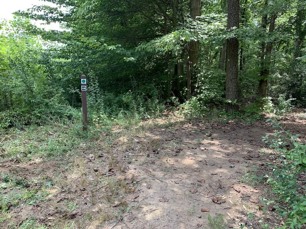 Ribbon Walk trail marker