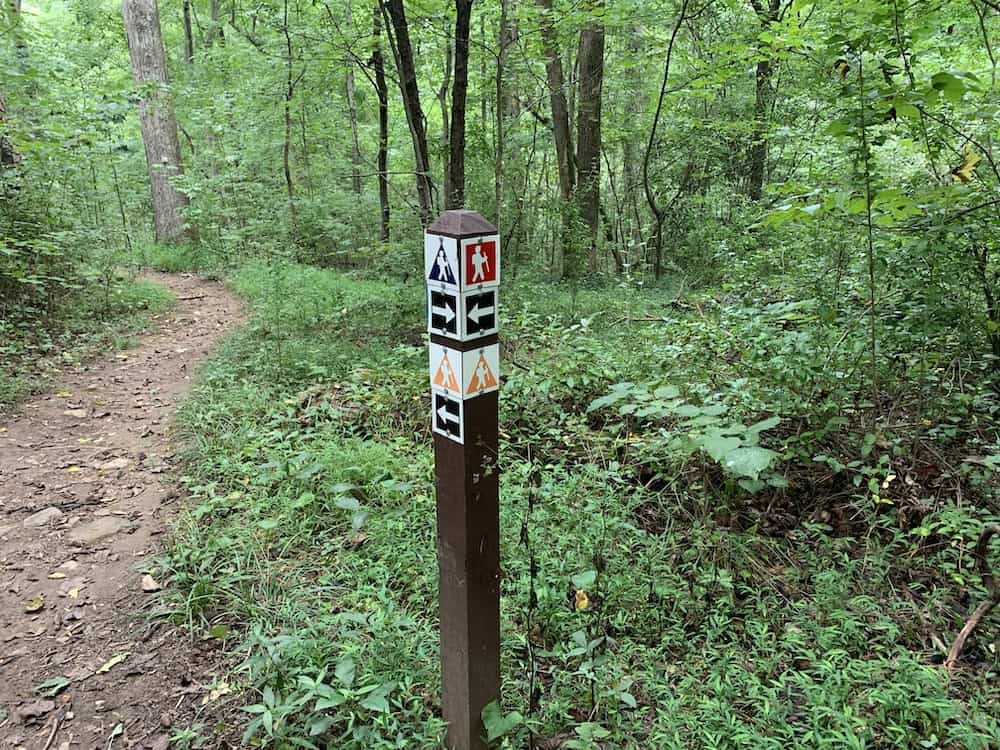 Ribbon Walk trail marker