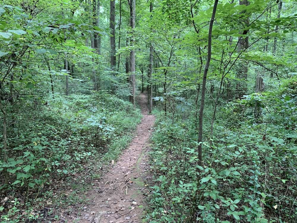 Ribbon Walk narrow path