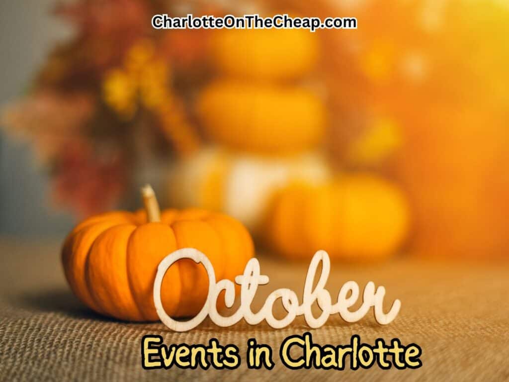 October events to do in charlotte with a background of pumpkins