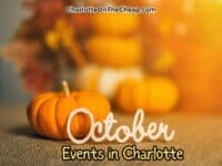 October events to do in charlotte with a background of pumpkins