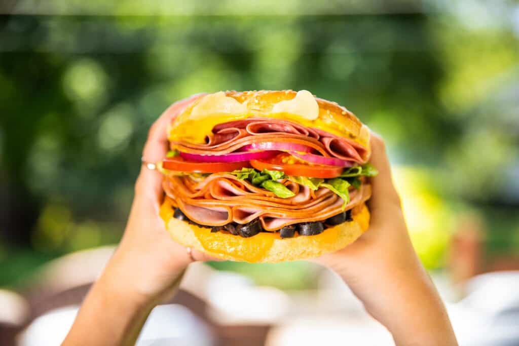 Large sandwich held in two hands