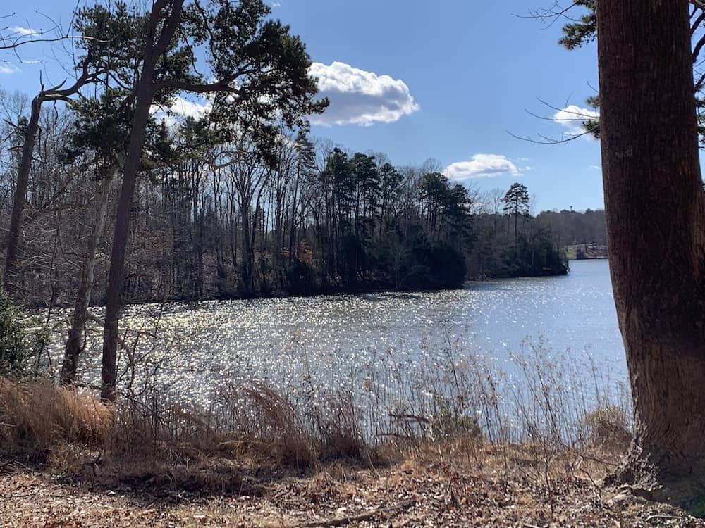Lake Wylie, from Seven Oaks Nature Preserve