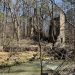 Grist mill on Campbell Creek Greenway