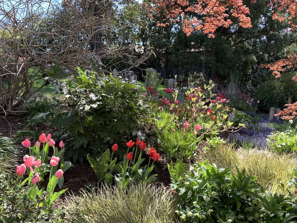 Flowers in Memorial Garden