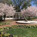 Veterans Park in Kannpolis with sundial and cherry blossoms