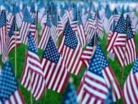 flags in a field for memorial day