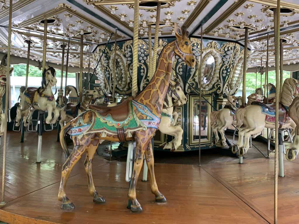 Giraffe in carousel