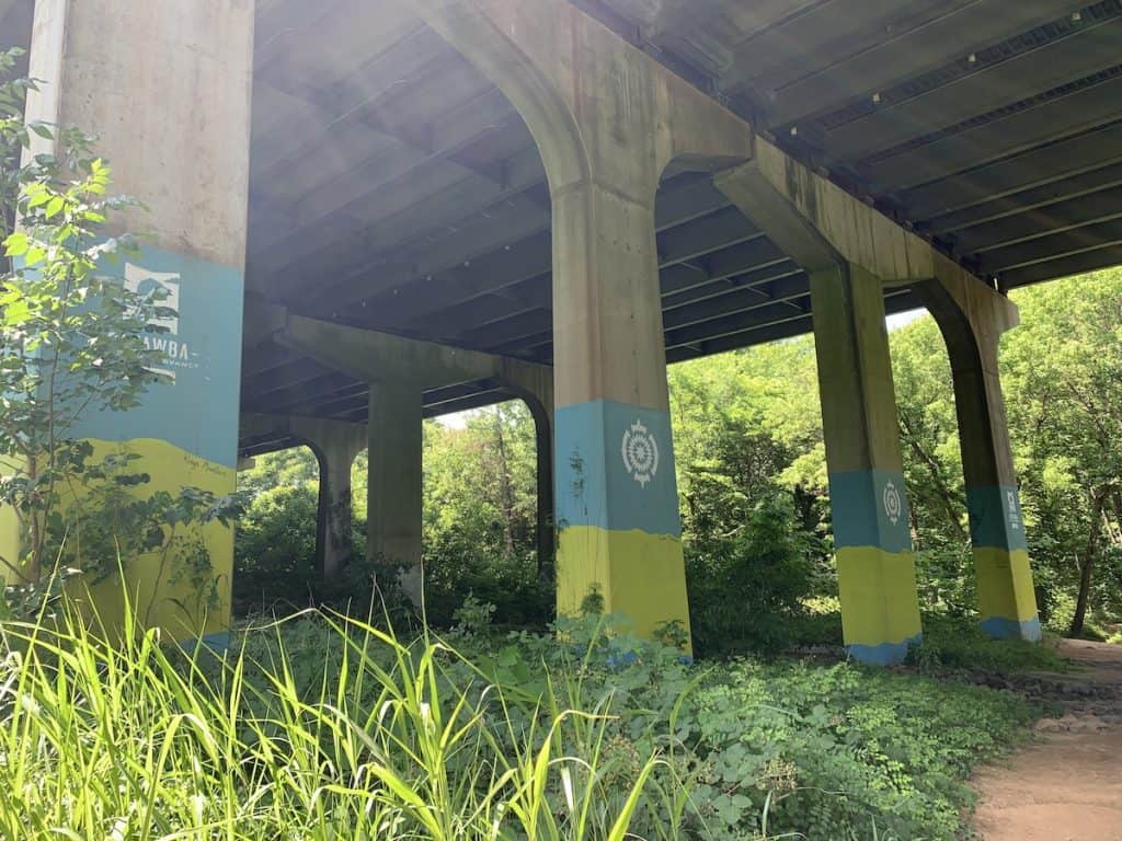 South Fork Trail under I-85 in McAdenville, NC