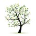 illustration of spring tree