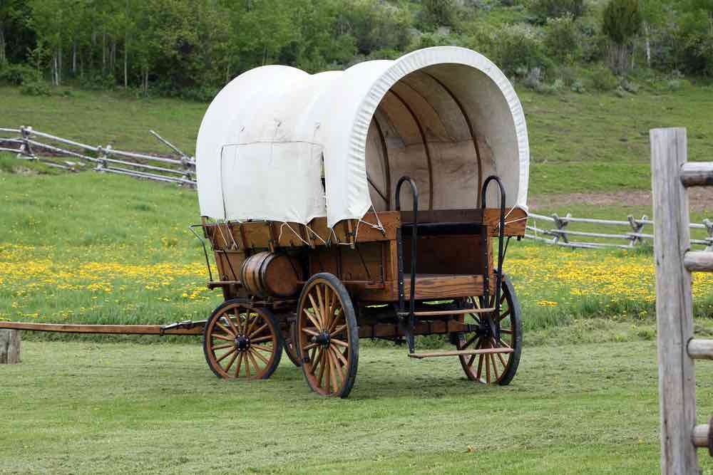 Covered wagon in a field