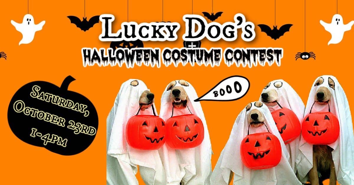 Lucky Dog Uptown's Halloween Costume Contest Charlotte On The Cheap