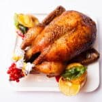 roasted turkey, viewed from above