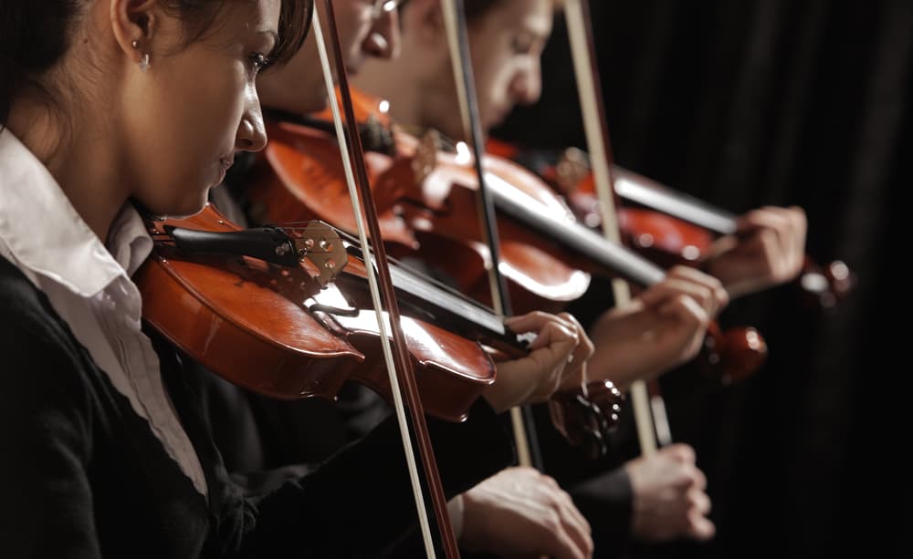 Violinists playing at a concert