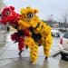 Red and yellow costumed performers doing lion dance for Chinese New Year