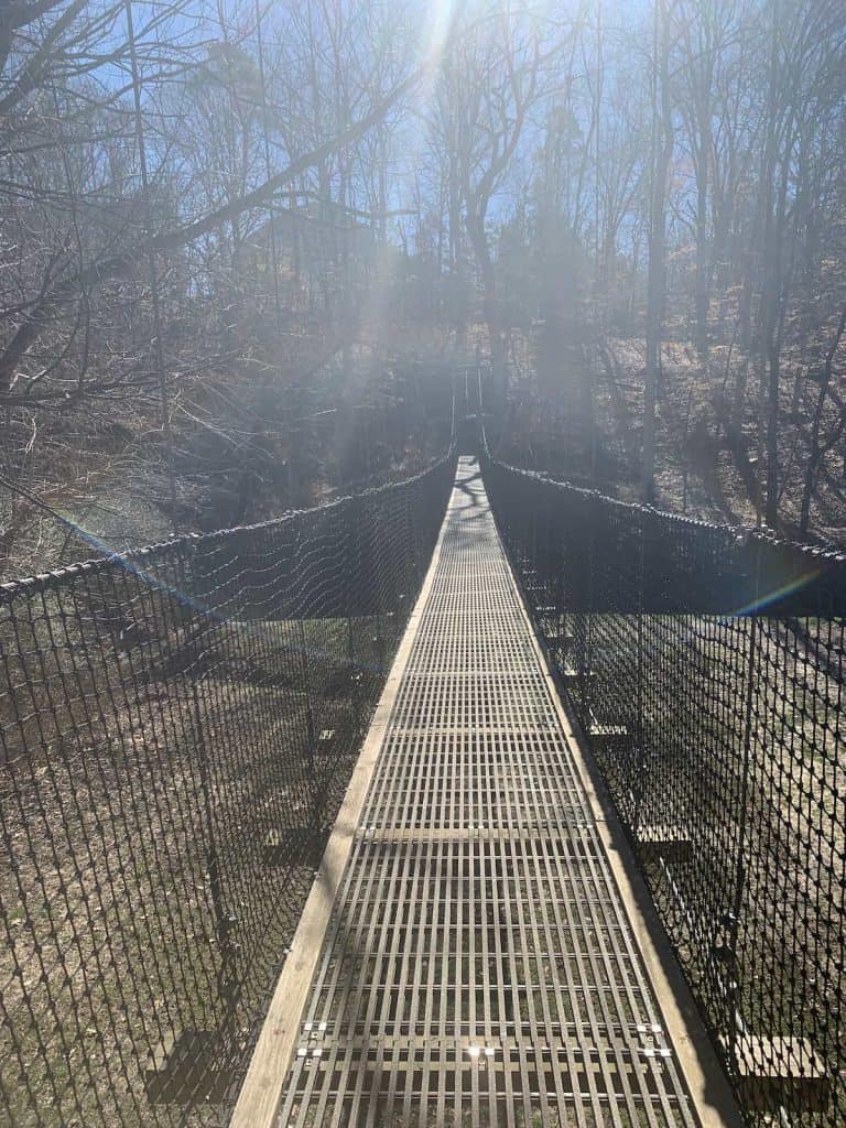 Vertical image of suspension bridge over 12 Mile Creek