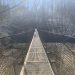 suspension bridge over 12 Mile Creek