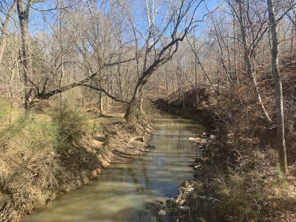 View of 12 Mile Creek from suspension bridge