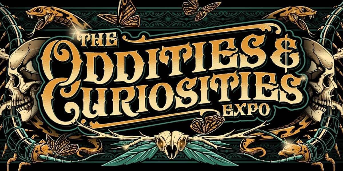 Charlotte Oddities & Curiosities Expo February 2425 Charlotte On The