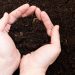 person holding soil in hands