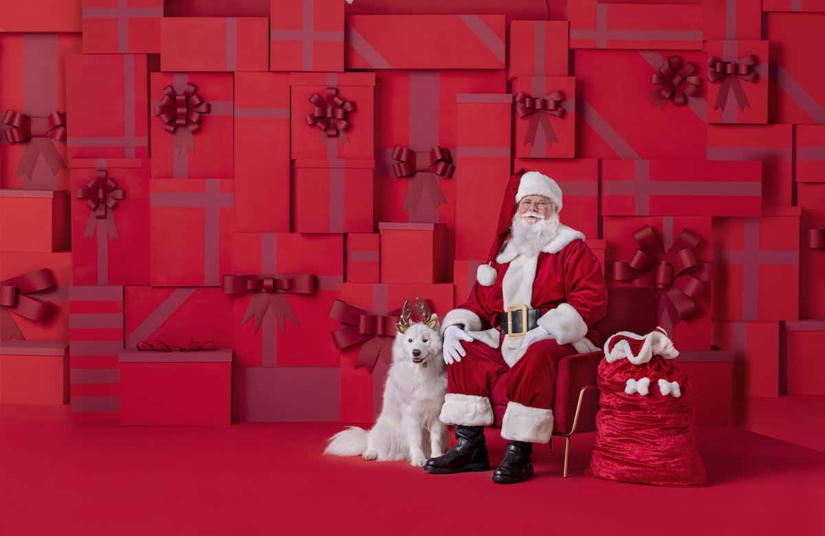 Pets get free pictures with Santa at PetSmart (reservations required