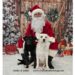 Santa with two beautiful dogs