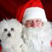 Santa with small dog