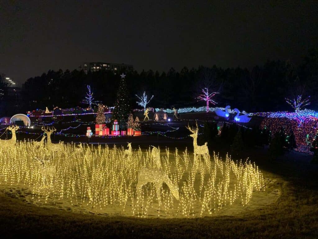 Overview of Carolina Holiday Light Spectacular with golden reindeer in the foreground