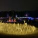 Overview of Carolina Holiday Light Spectacular, with golden reindeer in the foreground