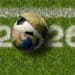 soccer ball emerging from globe