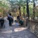McDowell Nature Preserve