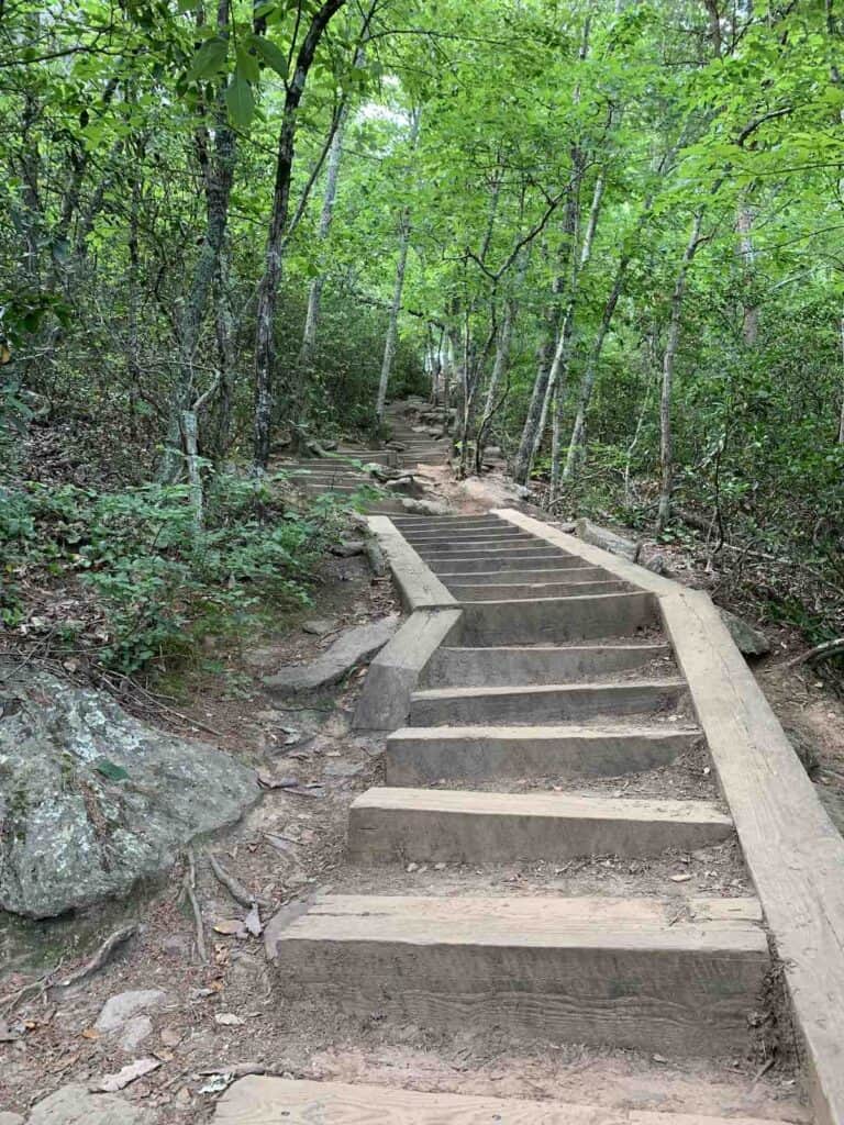 steps on Crowders Mountain's Backside Trail
