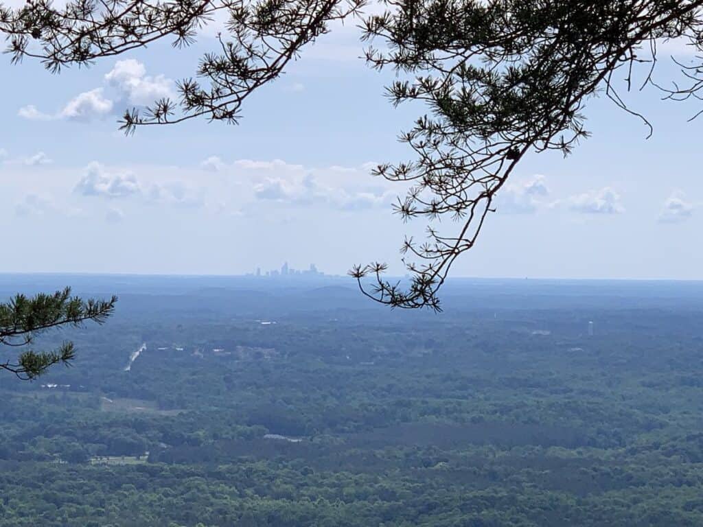 view of charlotte skyline from pinnacle of Crowder's Mountain, with branches of a tree in the foreground