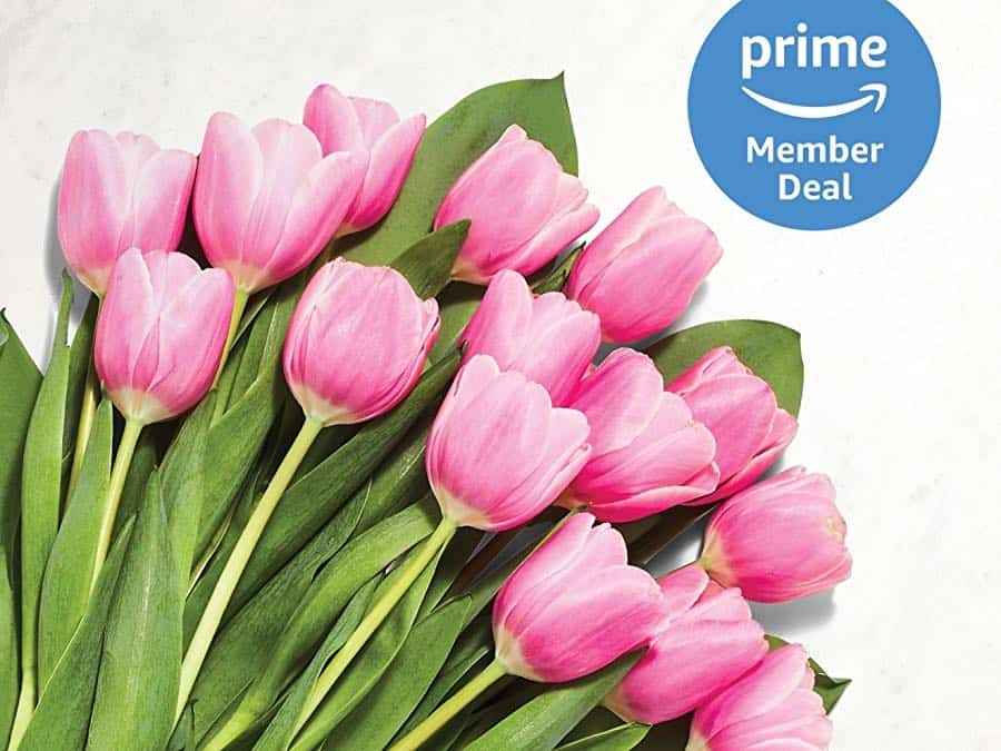 a bunch of pink tulips and the Prime logo
