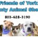 banner for dog adoption day