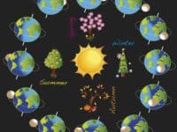 graphic showing the seasons of the year