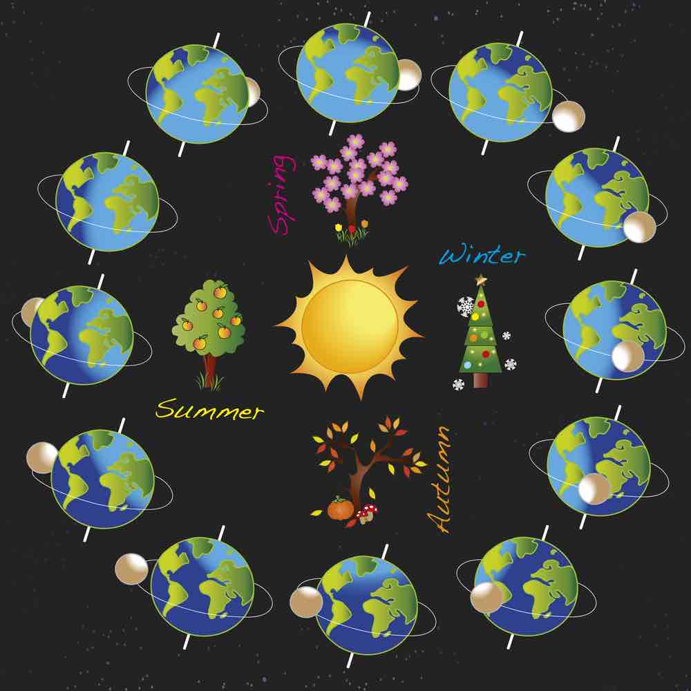 graphic showing the seasons of the year