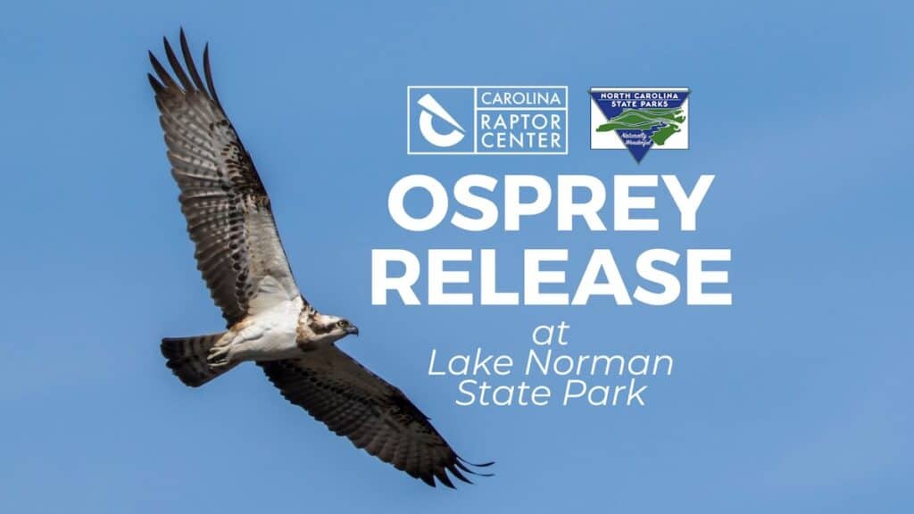 poster for osprey release event